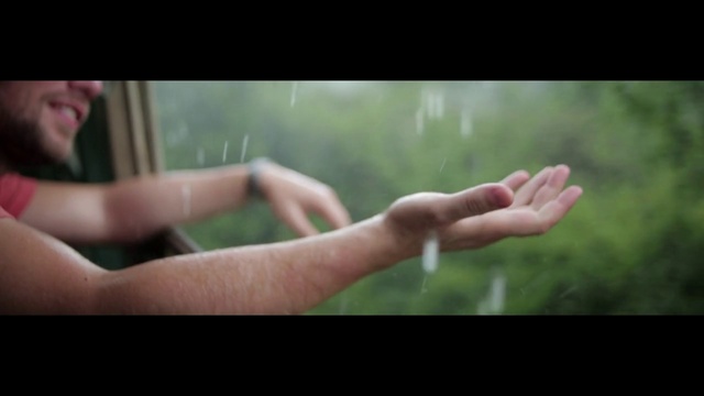 Video Reference: Green, Hand, Photograph, Arm, Finger, Leg, Skin, Joint, Gesture, Leaf