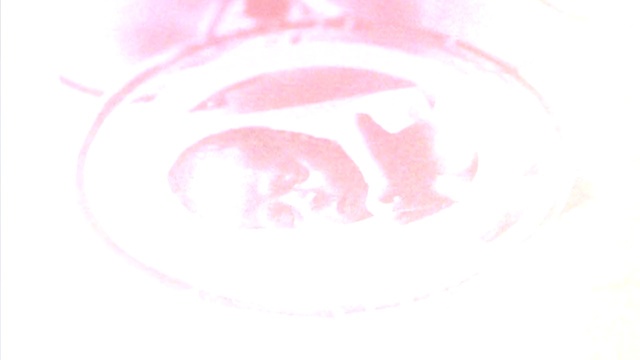 Video Reference: White, Pink, Font, Circle, Logo, Illustration