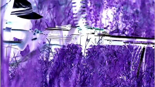 Video Reference: Purple, Violet, Lavender, Lilac, Graphic design, Cg artwork, Plant, Graphics, Art