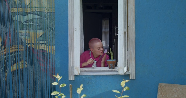 Video Reference: Standing, Child, Window, Adaptation, Sitting, Vacation, Smile, Toddler