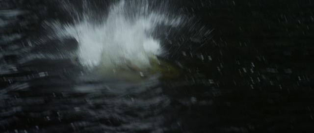 Video Reference: water, black, atmosphere, darkness, reflection, geological phenomenon, rain, night, forest, water resources