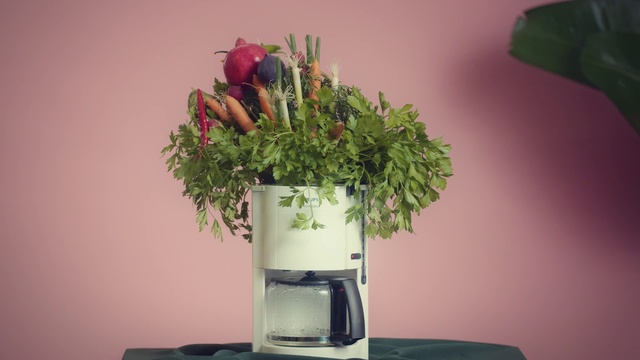 Video Reference: Flowerpot, Flower, Plant, Floristry, Cut flowers, Flower Arranging, Bouquet, Vase, Floral design, Botany