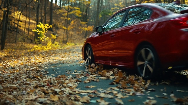 Video Reference: Land vehicle, Vehicle, Car, Mid-size car, Leaf, Tree, Autumn, Rim, Automotive design