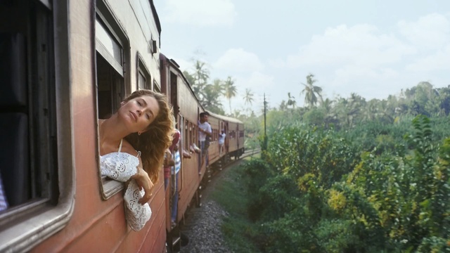 Video Reference: landscape, bridge, summer, tree, park