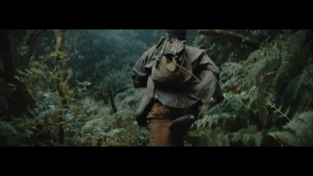Video Reference: Jungle, Natural environment, Movie, Wilderness, Forest, Human, Fiction, Organism, Screenshot, Tree