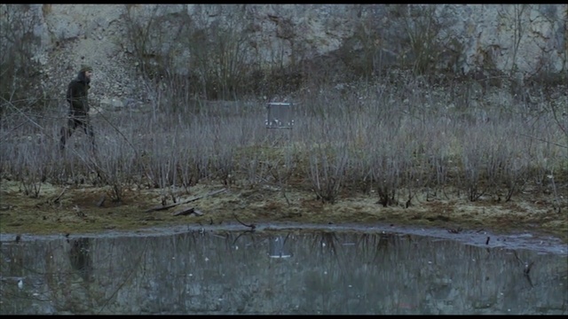 Video Reference: Nature, Wetland, Swamp, Natural environment, Water, Grass family, Wildlife, Tree, Marsh, Grass