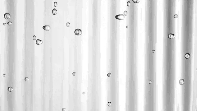 Video Reference: White, Line