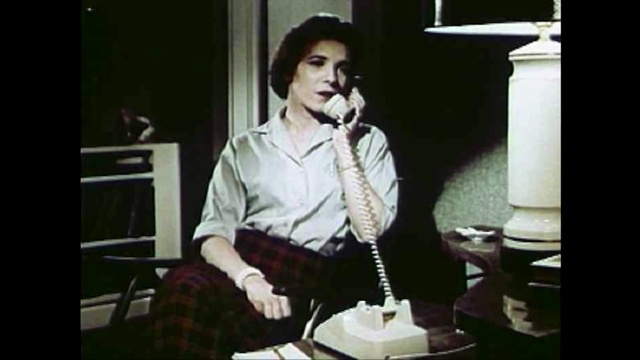 Video Reference: Photograph, Sitting, Lady, Snapshot, Music, Gentleman, Fun, Musician, Photography, Black hair