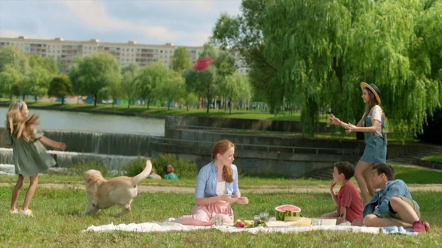 Video Reference: Leisure, Picnic, Grass, Lawn, Recreation, Summer, Fun, Sporting Group, Meadow, Play