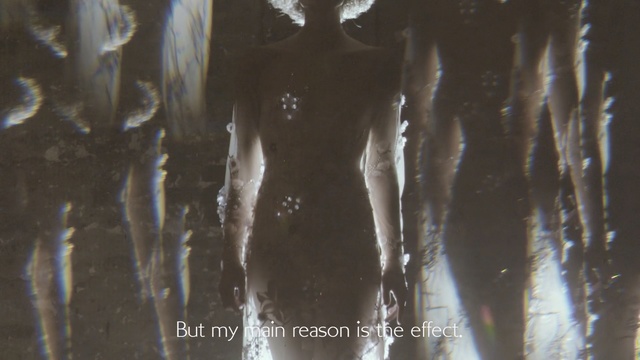 Video Reference: water, light, darkness, tree, visual arts