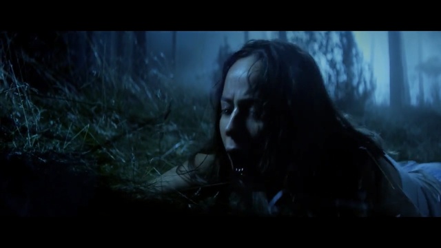 Video Reference: Darkness, Black, Fiction, Natural environment, Tree, Cg artwork, Digital compositing, Organism, Photography, Forest