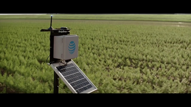 Video Reference: Field, Crop, Agriculture, Grass, Plant, Farm, Grassland, Technology, Grass, Rural area, Person