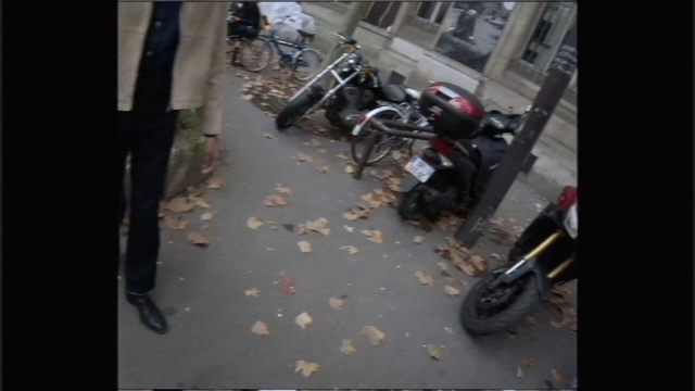 Video Reference: Motor vehicle, Vehicle, Mode of transport, Motorcycle, Asphalt, Motorcycling, Road, Wheel, Street, Crowd