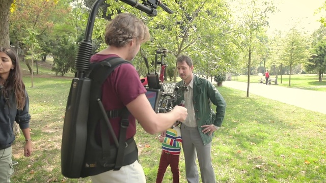 Video Reference: Tree, Botany, Grass, Recreation, Plant, Walking, Park, Style