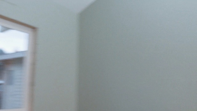 Video Reference: property, wall, sky, plaster, ceiling, window, home, real estate, daylighting, house