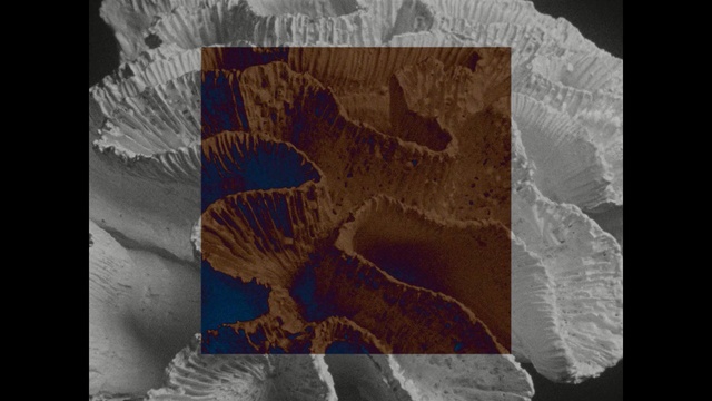 Video Reference: Leaf, Organism, Geology, Art, Carving, World, Illustration, Pattern, Relief