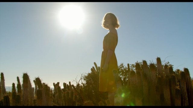 Video Reference: People in nature, Backlighting, Nature, Sunlight, Sky, Light, Morning, Grass, Photography, Atmosphere, Person