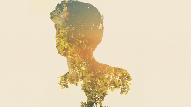 Video Reference: man, forest, cg, light, graphics