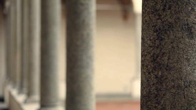 Video Reference: Column, Textile, Tree, Room, Architecture, Beige, Wood, Interior design, Plant, Curtain