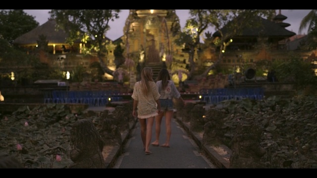 Video Reference: Photograph, Nature, Landmark, Light, Snapshot, Lighting, Temple, Tree, Photography, Night