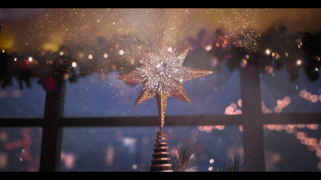 Video Reference: Sky, Water, Fireworks, Night, Event, Tree, Holiday, Fête, Midnight, World