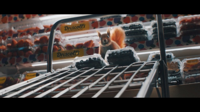 Video Reference: Advertising, Automotive exterior, Supermarket, Font, Vehicle, Electronics, Auto part