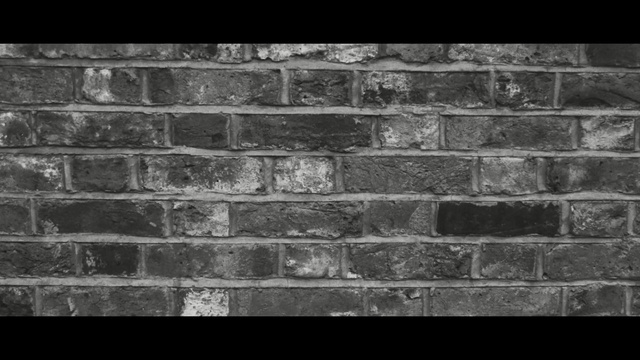 Video Reference: brickwork, wall, brick, black and white, stone wall, monochrome photography, monochrome, material, bricklayer
