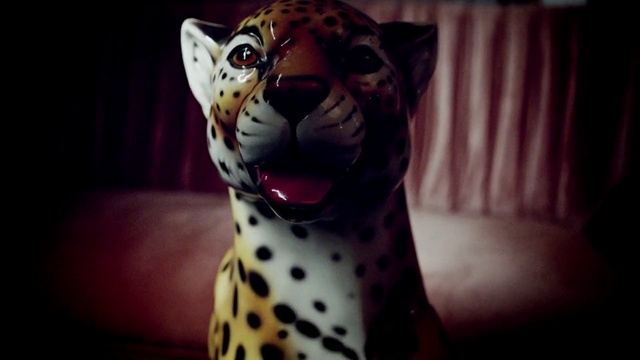 Video Reference: mammal, head, jaguar, cat like mammal, big cats, carnivoran, leopard, snout, wildlife, computer wallpaper, Person