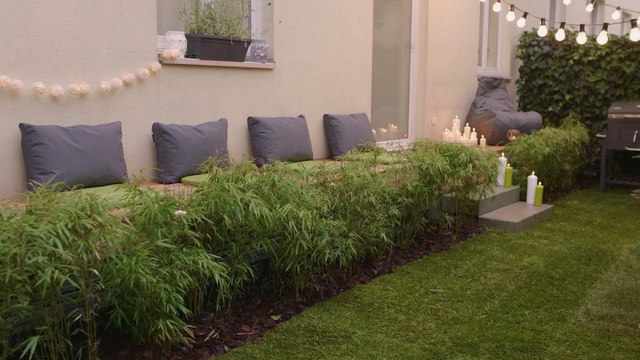 Video Reference: Grass, Lawn, Property, Shrub, Yard, Garden, Backyard, Grass, Plant, thuya