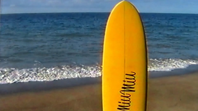 Video Reference: surfing equipment and supplies, surfboard, wind, sky, vacation, sea, Person