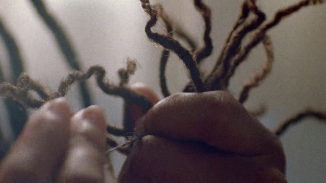 Video Reference: Branch, Hand, Finger, Twig, Plant, Thumb