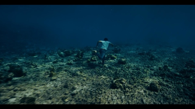 Video Reference: underwater, sea, reef, coral reef, marine biology, atmosphere, organism, ocean, screenshot, water