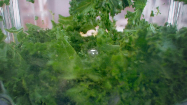 Video Reference: Plant, Leaf, Leaf vegetable, Herb, Grass, Flower, Vegetarian food, Coriander, Vegetable, Moss