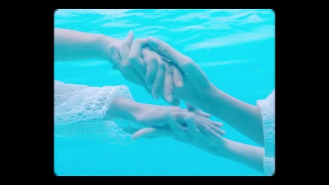 Video Reference: Aqua, Underwater, Water, Turquoise, Marine mammal