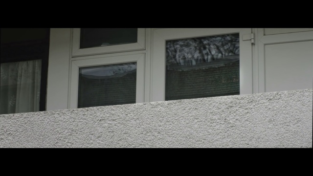 Video Reference: White, Black, Wall, Architecture, Window, Line, Material property, Tree, Black-and-white, Door