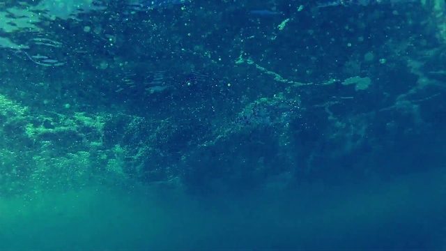 Video Reference: Blue, Aqua, Turquoise, Water, Green, Underwater, Azure, Teal, Organism, Sky