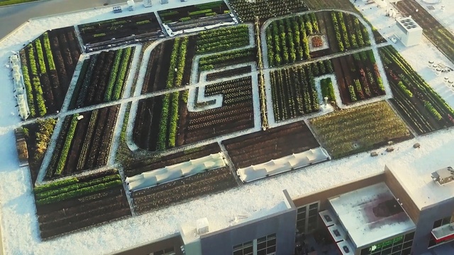 Video Reference: urban design, residential area, neighbourhood, condominium, real estate, bird's eye view, building, aerial photography, mixed use, roof