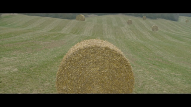 Video Reference: Green, Grass, Field, Grassland, Circle, Plain, Plant, Landscape, Photography, Hay