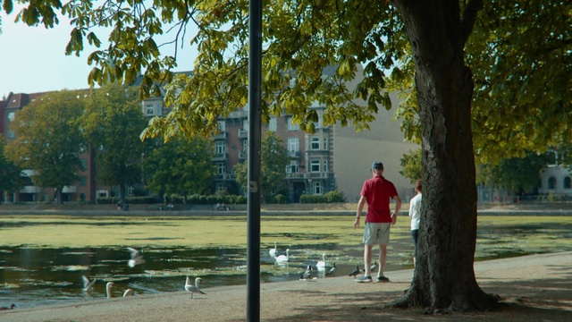 Video Reference: Tree, Green, Public space, Park, Woody plant, Leaf, Grass, Leisure, Fun, Recreation, Person, Outdoor, Road, Street, Man, Sidewalk, Riding, Walking, Standing, Cross, Fire, Large, City, Young, Game, Hydrant, Red, Dog, Bird, White, People, Playground, Plant