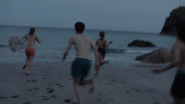 Video Reference: Fun, Vacation, Beach, Ocean, Sea, Water, Barechested, Shore, Coast, Sand