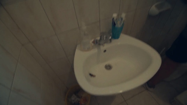 Video Reference: bathroom, room, toilet, plumbing fixture, bidet, sink, toilet seat, urinal, bathroom sink, public toilet