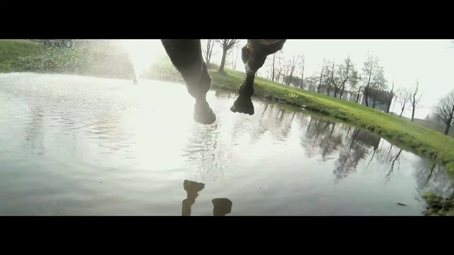 Video Reference: water, reflection, nature, tree, mode of transport, waterway, morning, grass, wetland, pond