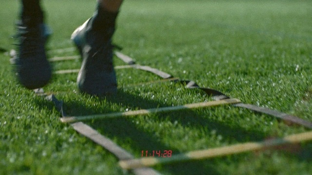 Video Reference: Lawn, Grass, Grass, Plant, Artificial turf, Flooring, Net