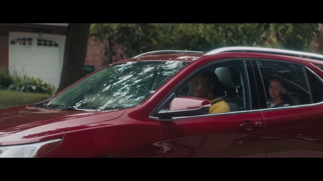 Video Reference: Land vehicle, Vehicle, Car, Automotive exterior, Honda, Compact car, Vehicle door, Auto part, Honda city, Person, Red, Outdoor, Small, Sitting, Passenger, Green, Parked, Street, Driving, Dog, Mirror, Man, White, Woman, Traveling, Riding, Plane, City, Standing, Wheel, Transport