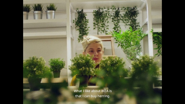 Video Reference: Photograph, Houseplant, Flowerpot, Tree, Leaf, Shrub, Plant, Garden, Real estate, Grass