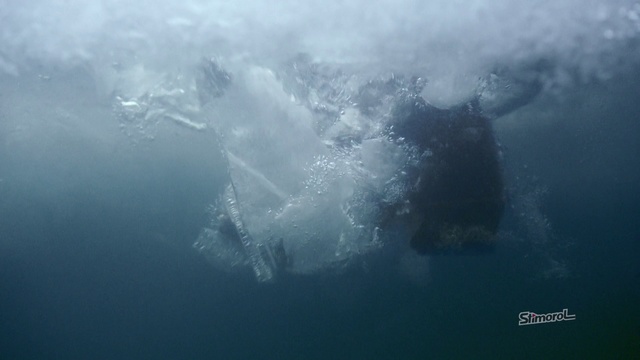 Video Reference: Underwater, Water, Atmospheric phenomenon, Marine biology, Atmosphere, Sea, Sunlight, Ocean