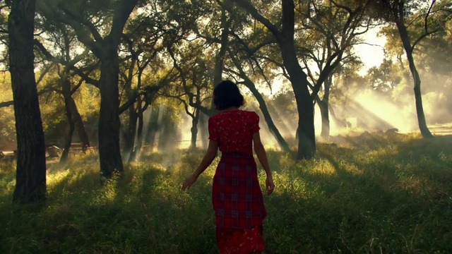 Video Reference: People in nature, Nature, Tree, Photograph, Natural environment, Atmospheric phenomenon, Sunlight, Light, Morning, Natural landscape