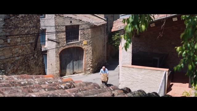 Video Reference: Wall, Property, Brickwork, Brick, House, Facade, Architecture, Neighbourhood, Stone wall, Tree, Person