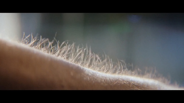 Video Reference: Close-up, Macro photography, Light, Water, Photography, Organism, Sunlight, Atmosphere, Stock photography, Darkness, Sitting, Grass, Holding, White, Laying, Man, Phone, Blurry, Room, Plant