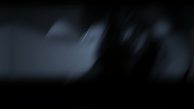 Video Reference: black, black and white, atmosphere, darkness, light, photography, monochrome photography, monochrome, macro photography, close up